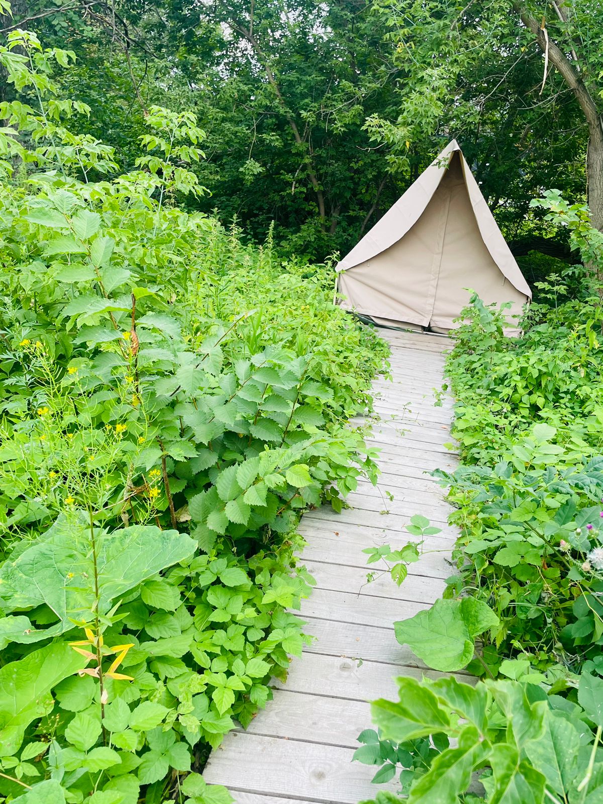 Фото Благолэнд