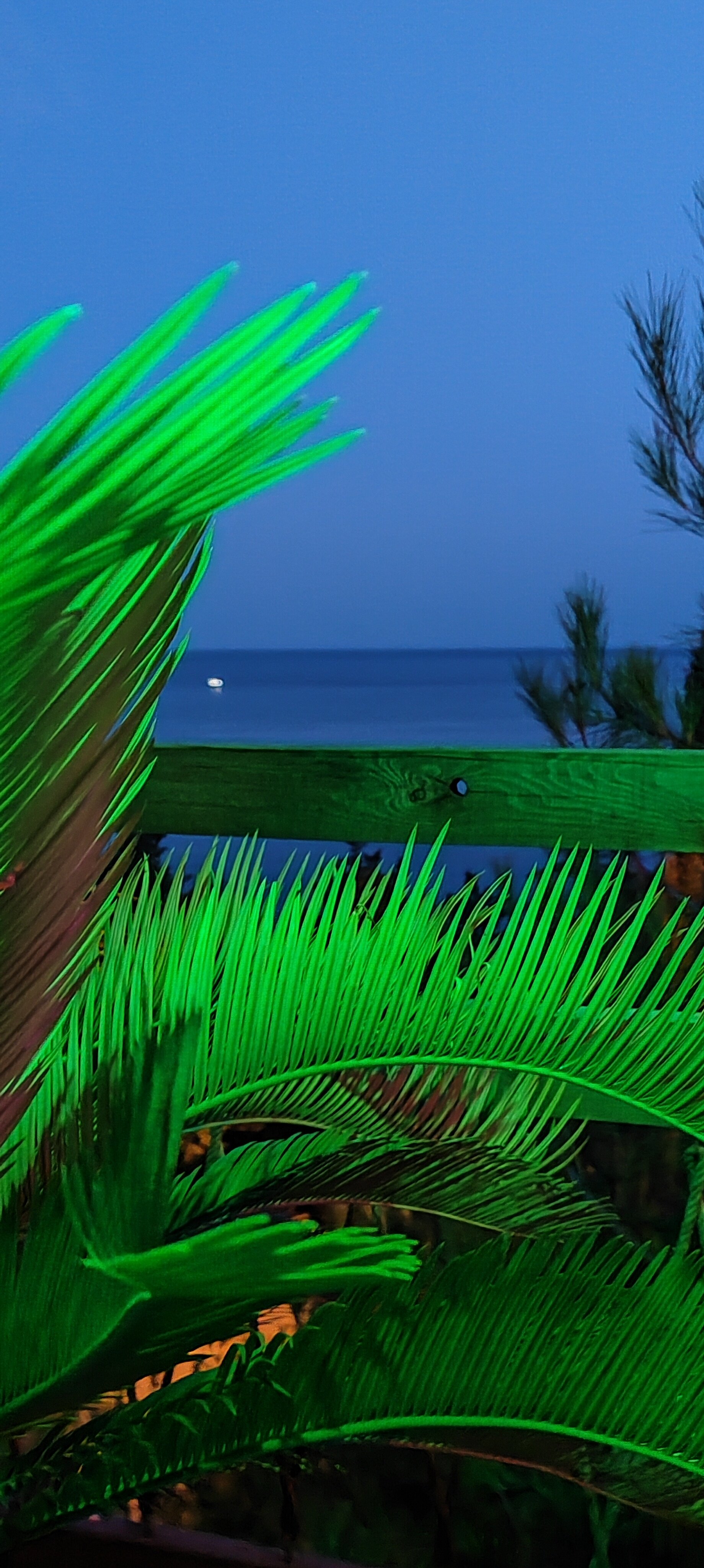 Фото Парк Симеиз