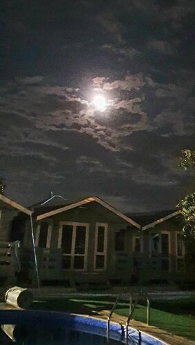 Гостиница Full House в Гудауте