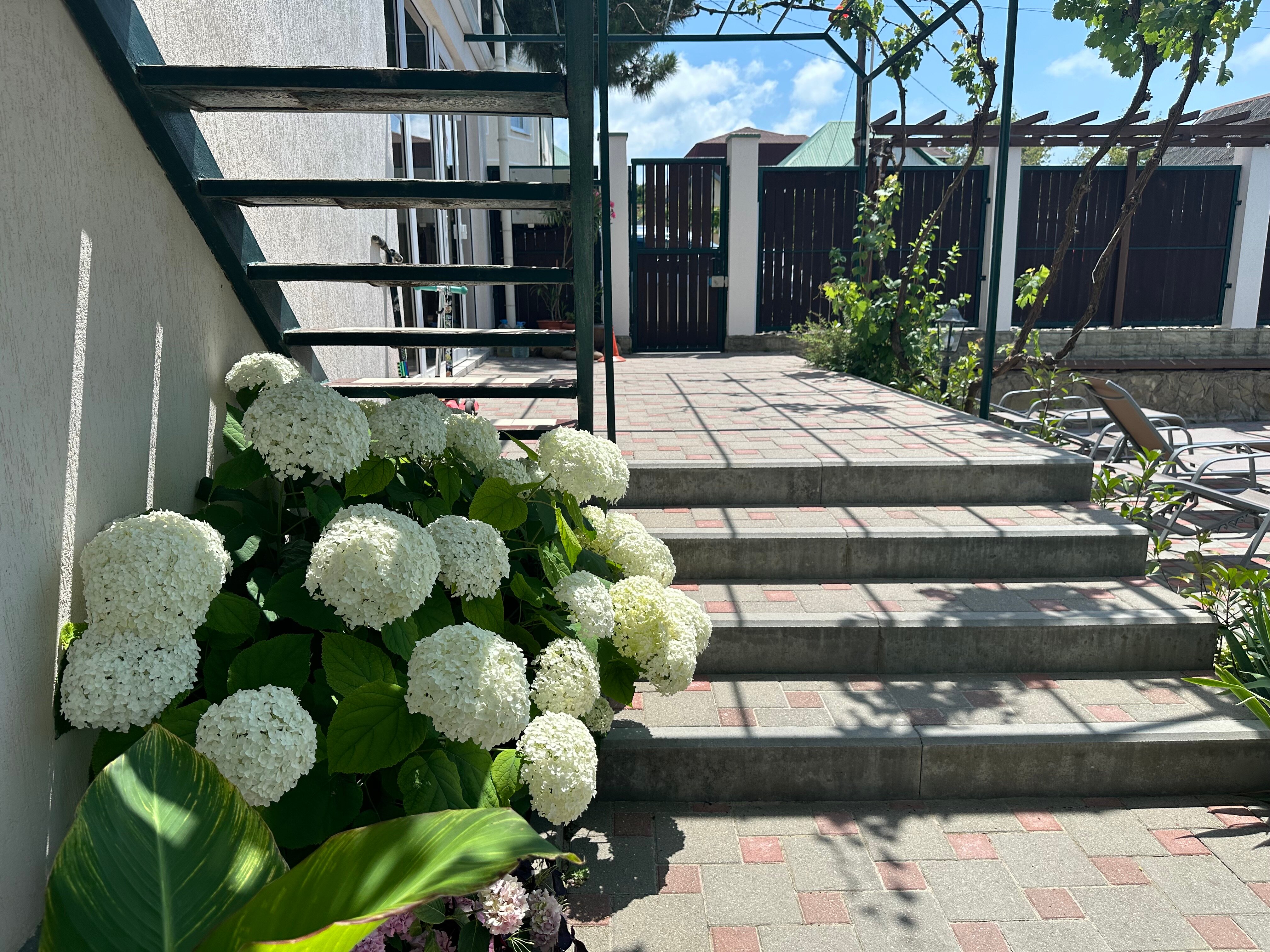 Фото Вилла Терраса