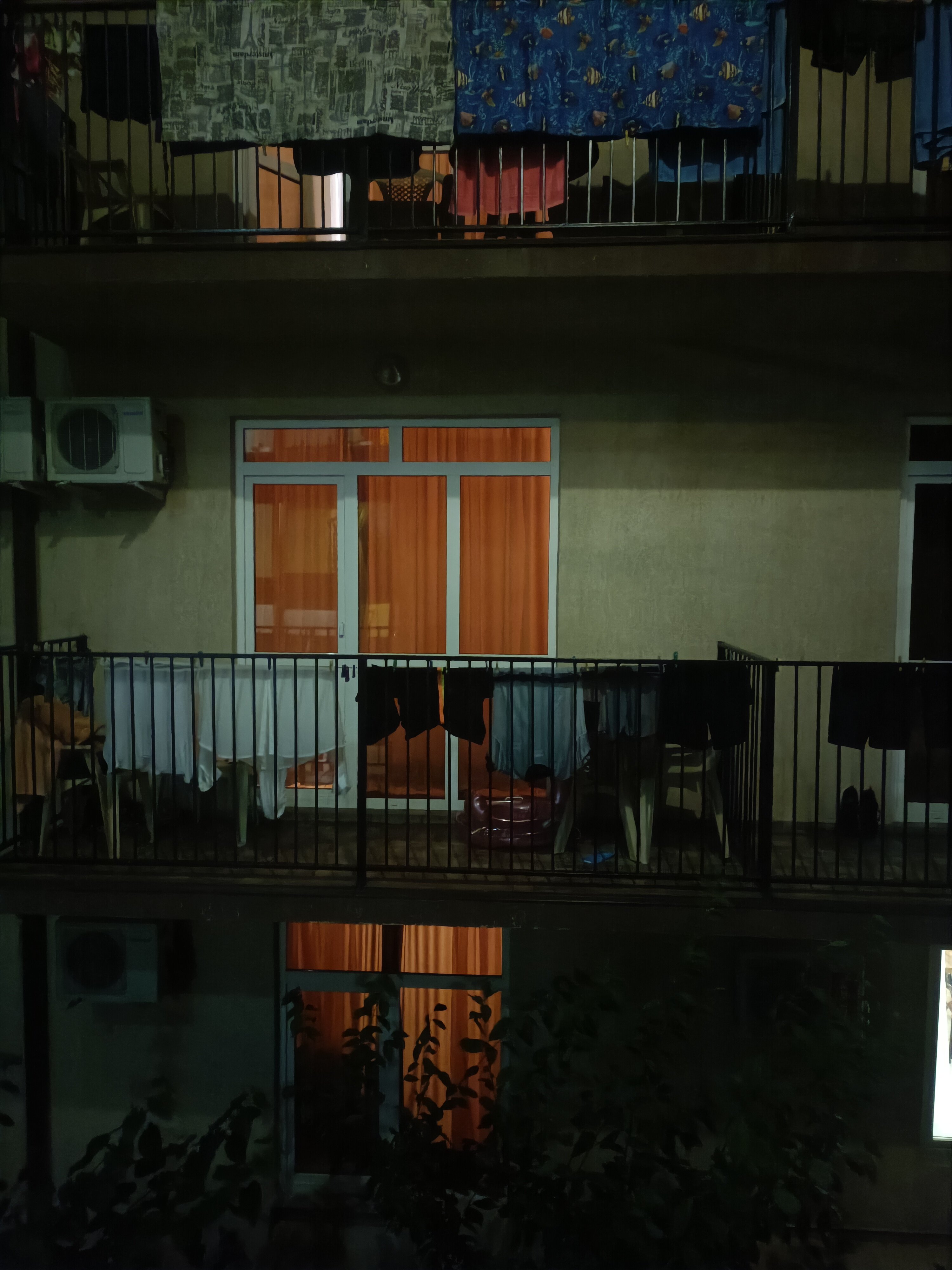 Фото Звезда