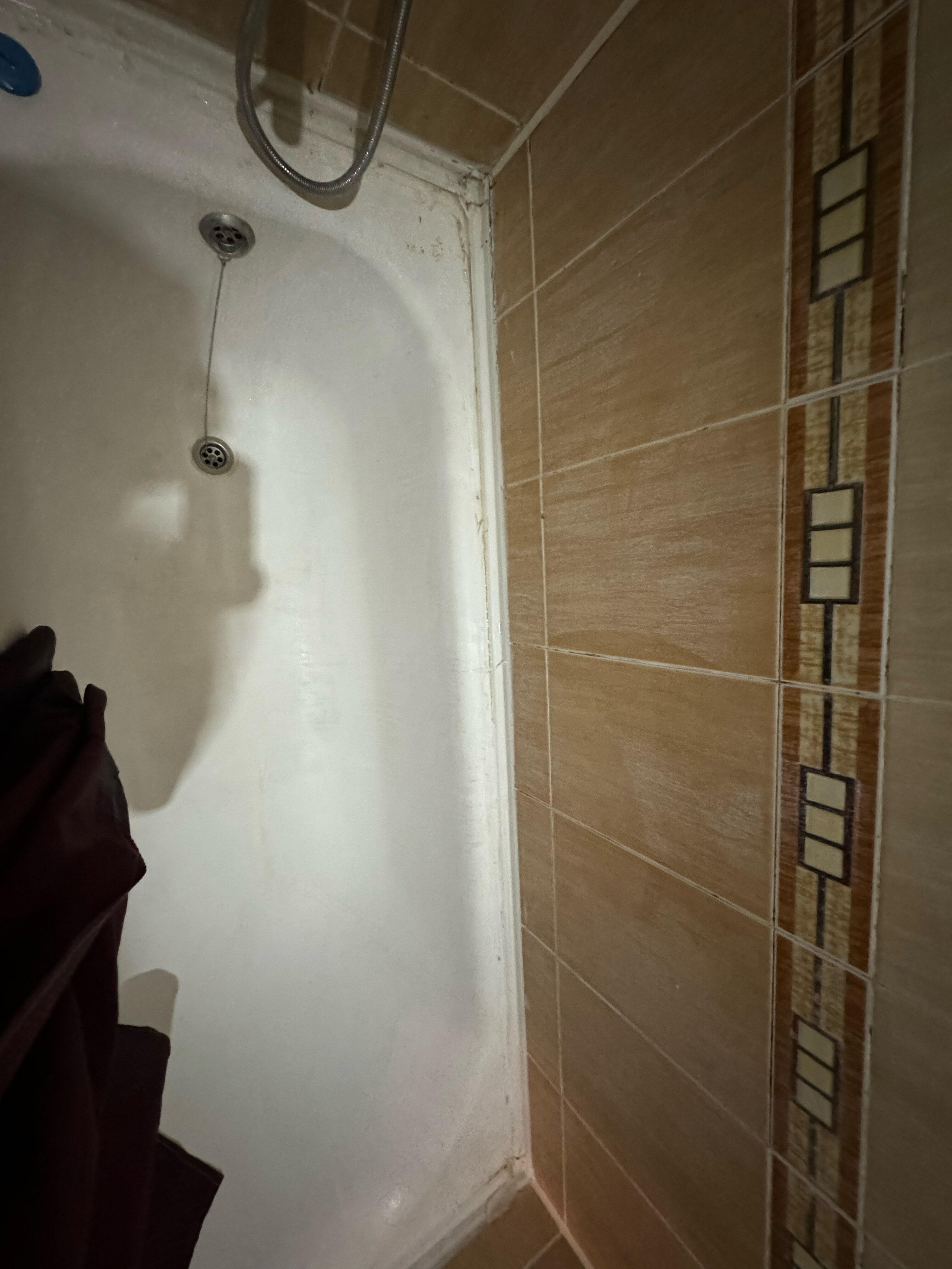 Фото Моцарт ин