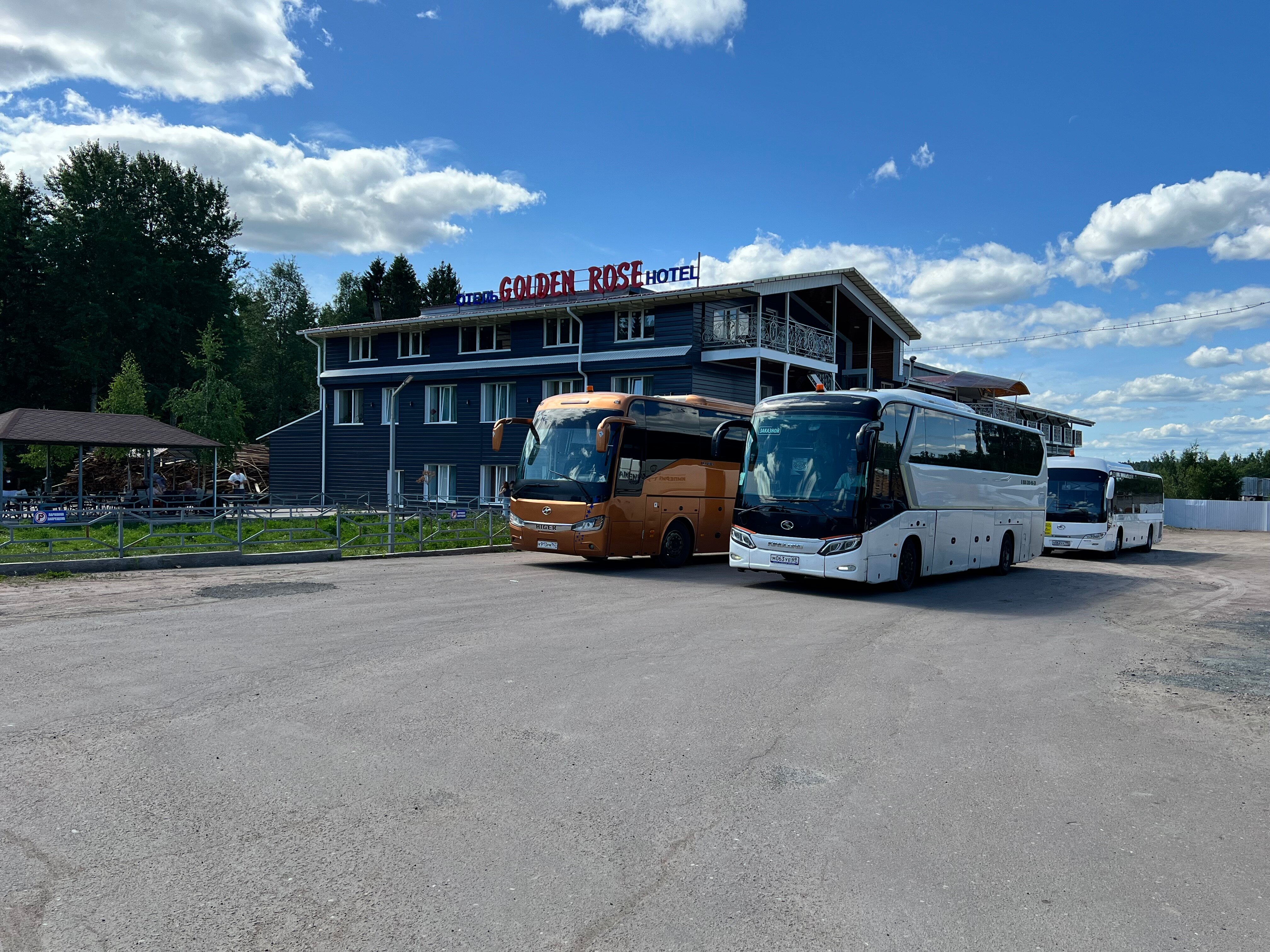 Фото Golden Rose