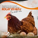 Maytav Kafes (Konya, Karatay, Tatlicak Neighborhood) ، محل بقالة