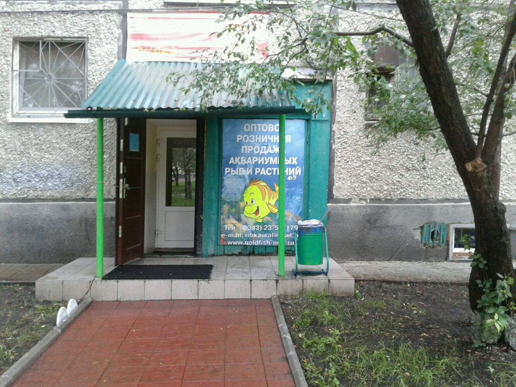 Магазин Золотая Рыбка В Екатеринбурге Официальный Сайт