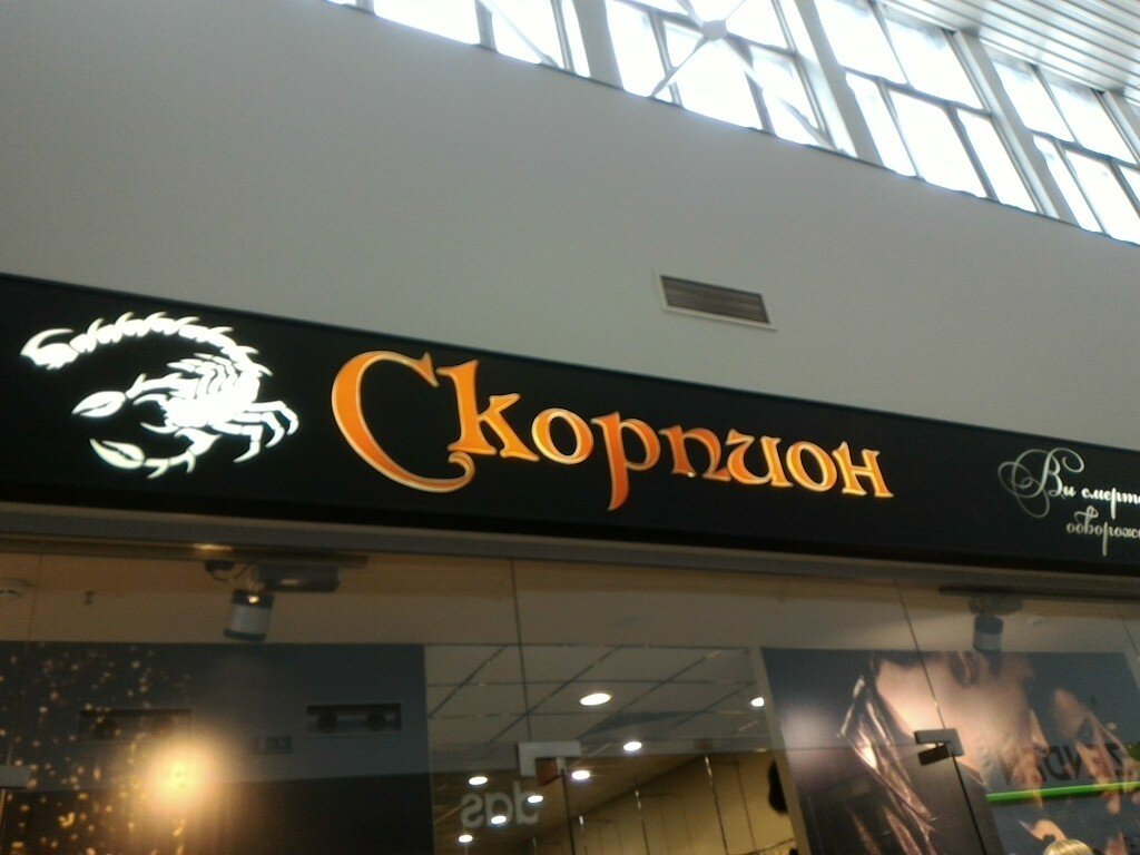 Магазин Скорпион Сочи Официальный Сайт