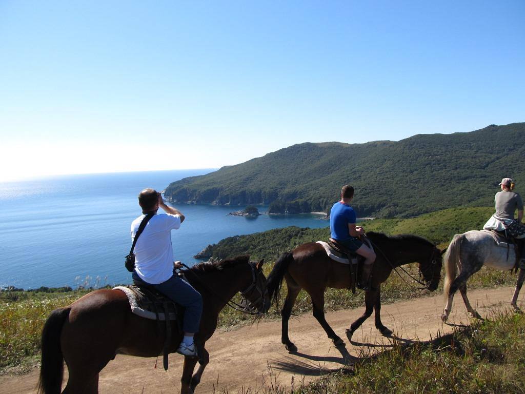 Фото Береговая