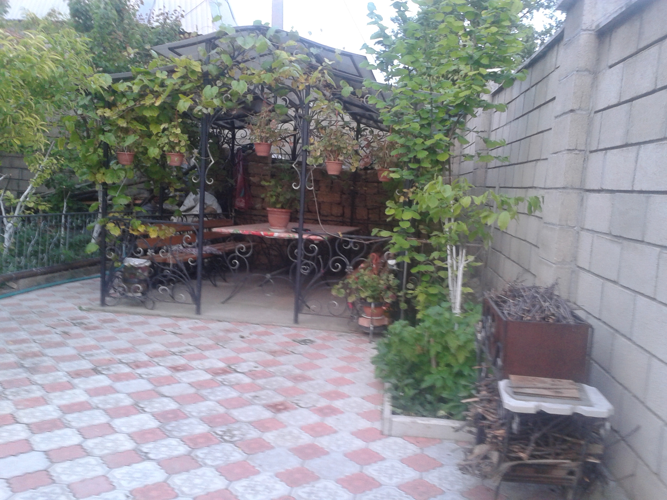 Фото Марине