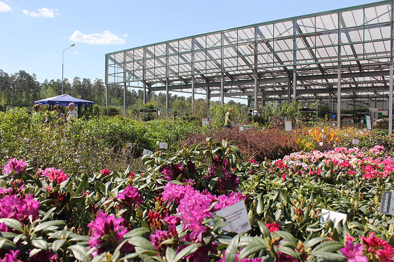 Garden center Darvin Pushkino Garden center, Pushkino, photo