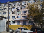 Общежитие ГЖУ (ул. Видова, 182, Новороссийск), общежитие в Новороссийске