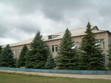 Военная, кадетская школа МКОУ Березовская, Волгоградская область, фото