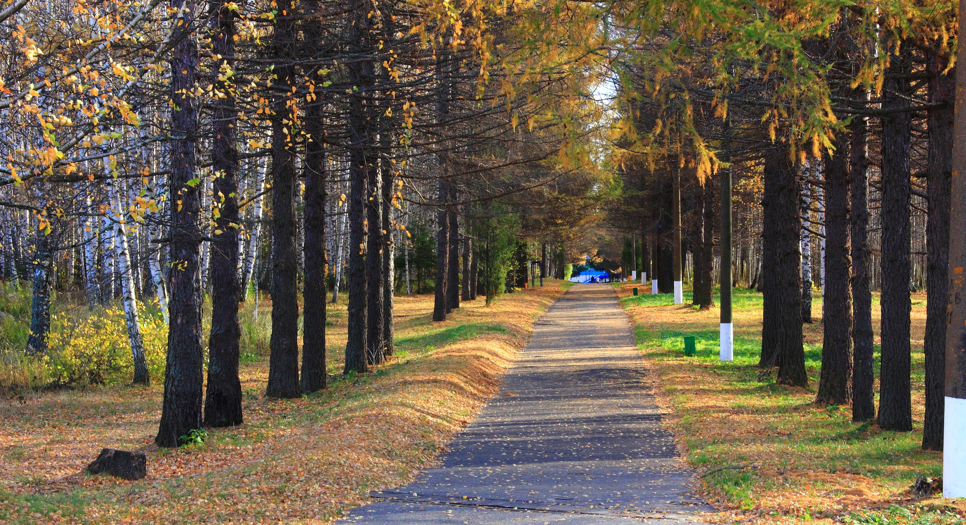 Фото Буревестник