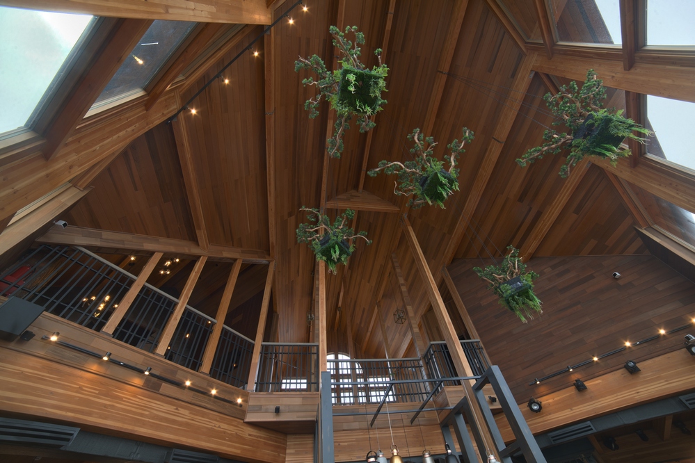 Фото Кедровый дом