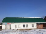 Автосервис (ulitsa Maksima Gorkogo, 251), car service, auto repair