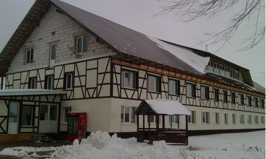 Фото Берёзка