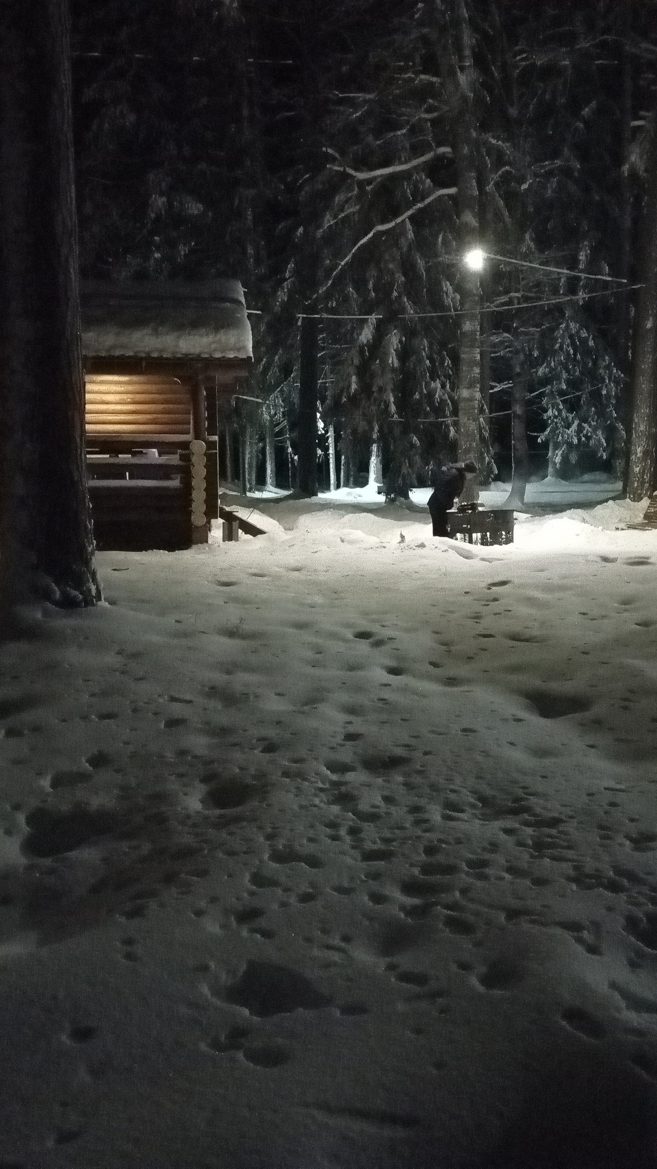 Фото Тихий Лес