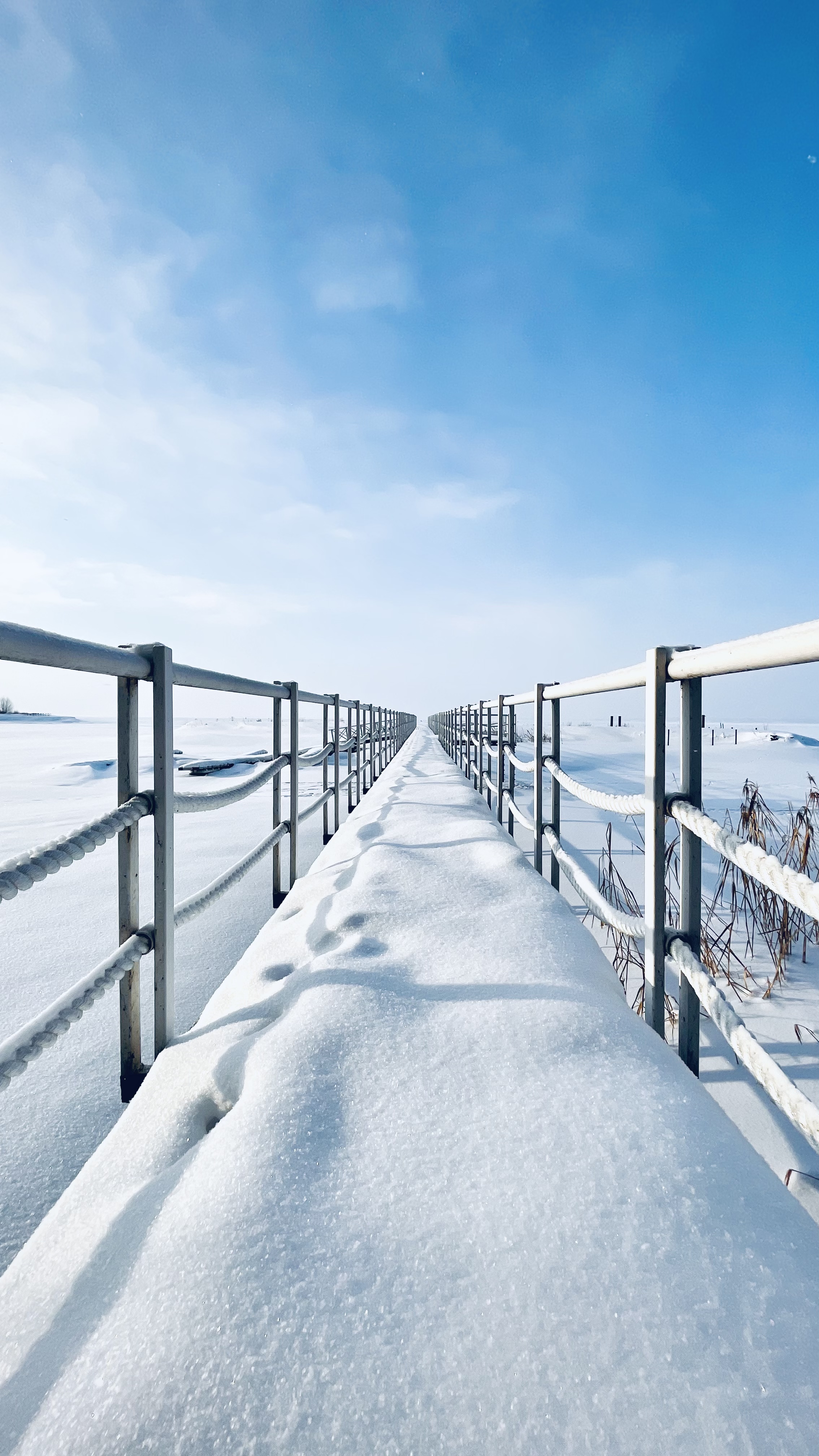 Фото Изумрудное