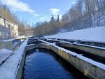 Рыбопитомник Рудица (Leningrad Region, Lomonosovskiy District, Lopukhinskoye selskoye poseleniye, derevnya Lopukhinka), fisheries, fish farming