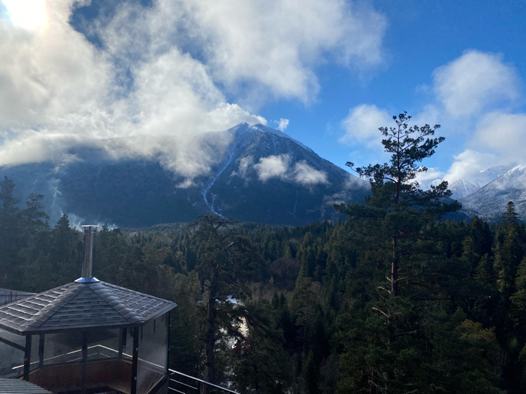 Фото Вудберг