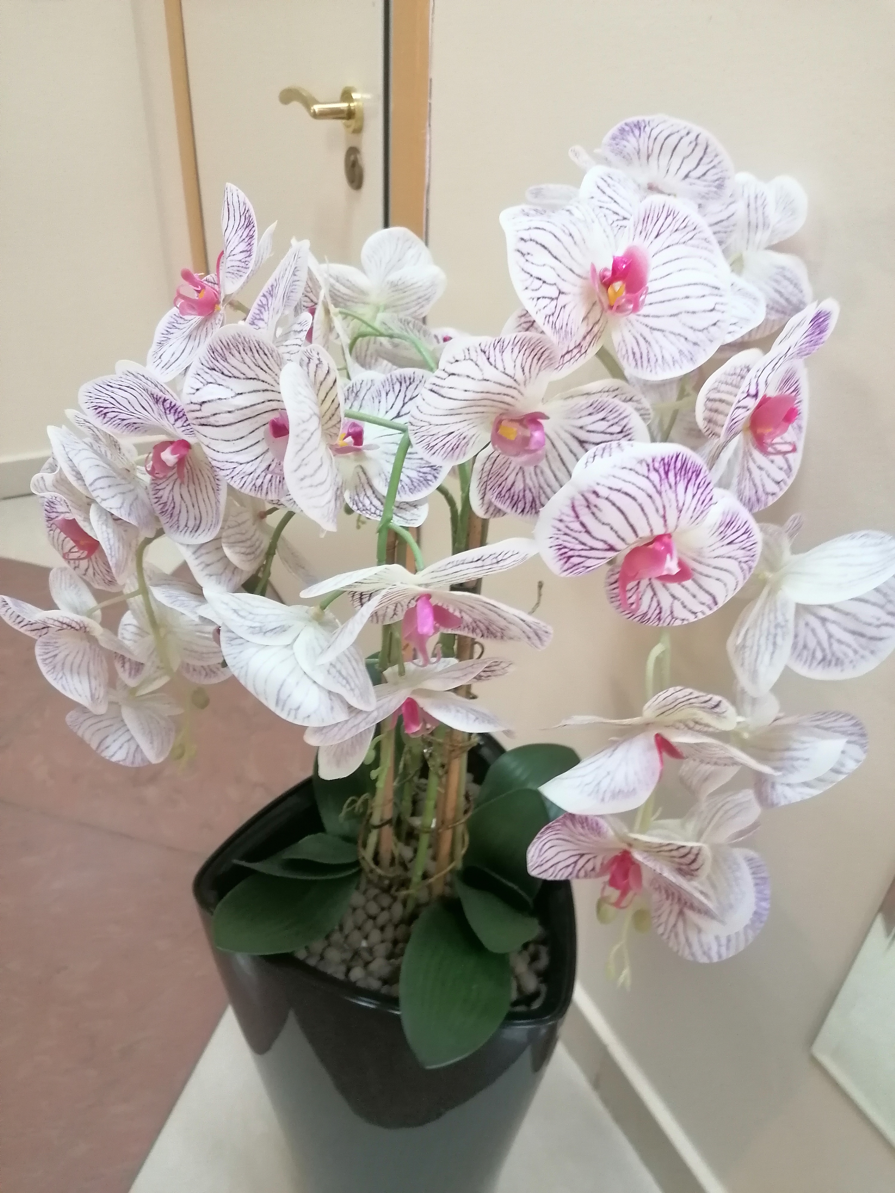 Фото МГИМО Отель