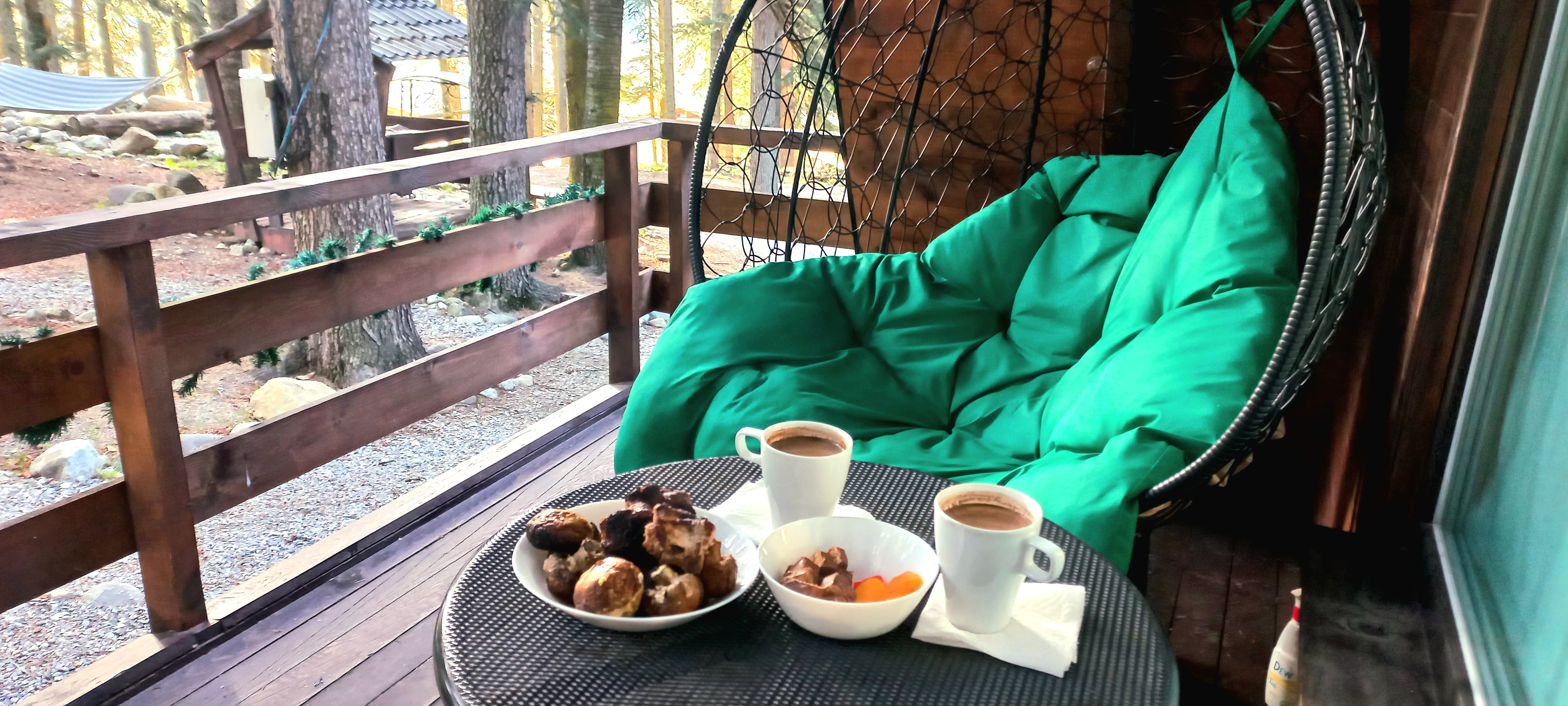 Фото Ёлки House