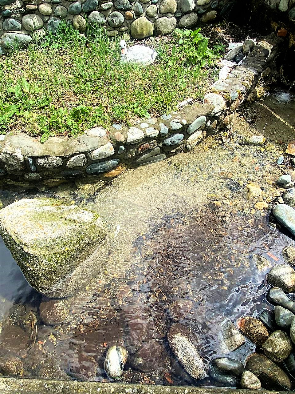 Фото Гостевой дом Ирбис