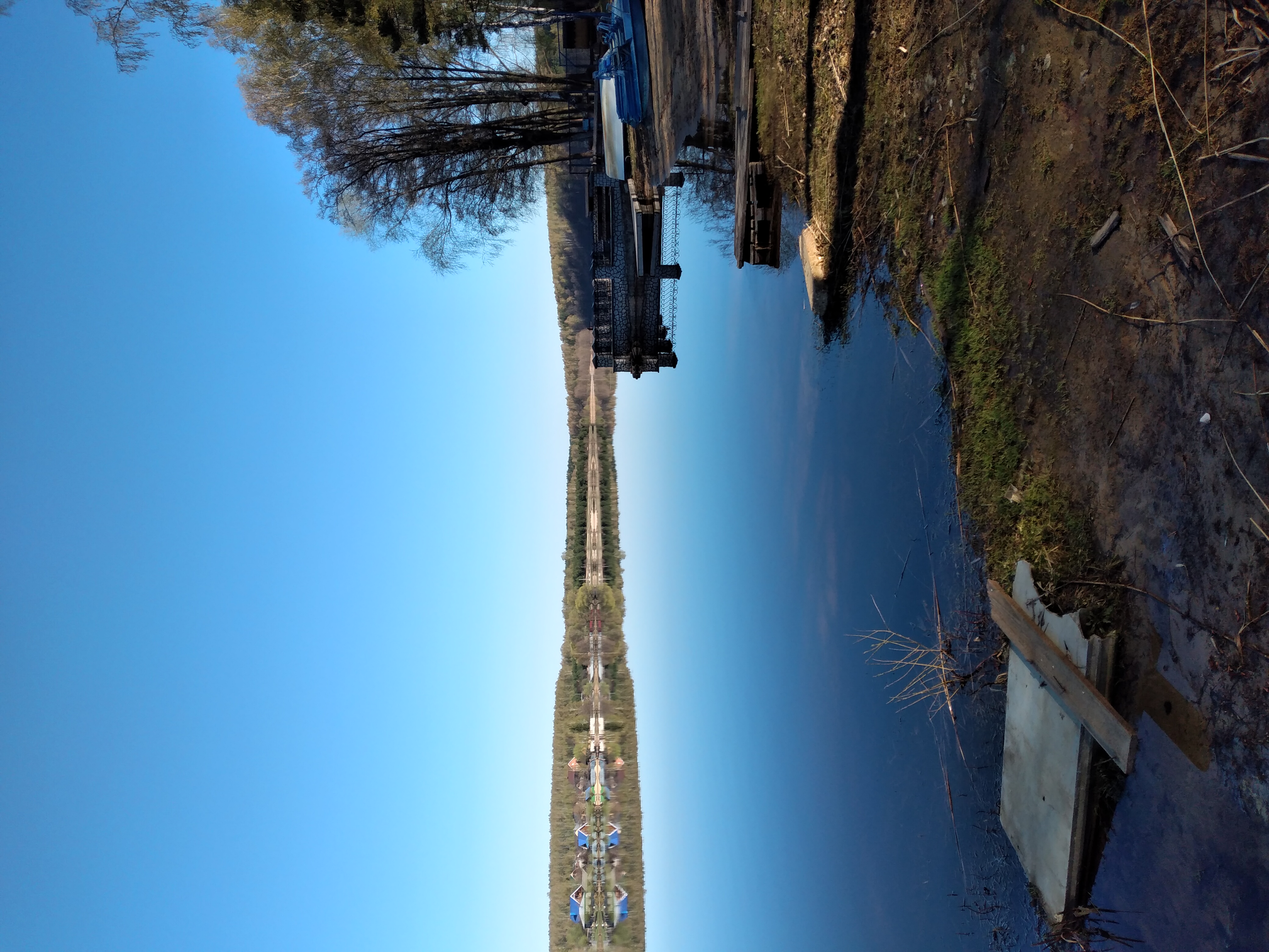 Фото Динамо