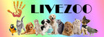 Livezoo (Южная ул., 26, Люберцы), товары для животных оптом в Люберцах