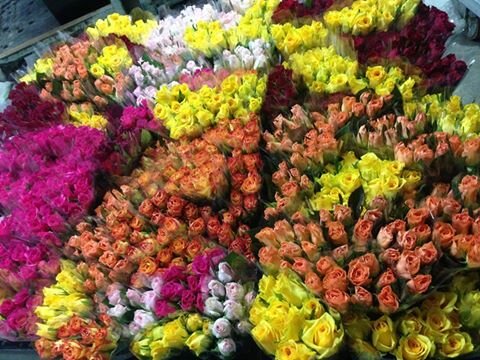 Флора маркет черкизовская сколько стоит цветы гипсофилы