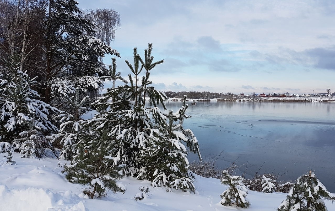 Фото Кукушка