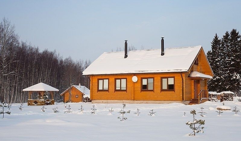 Фото Озерный берег