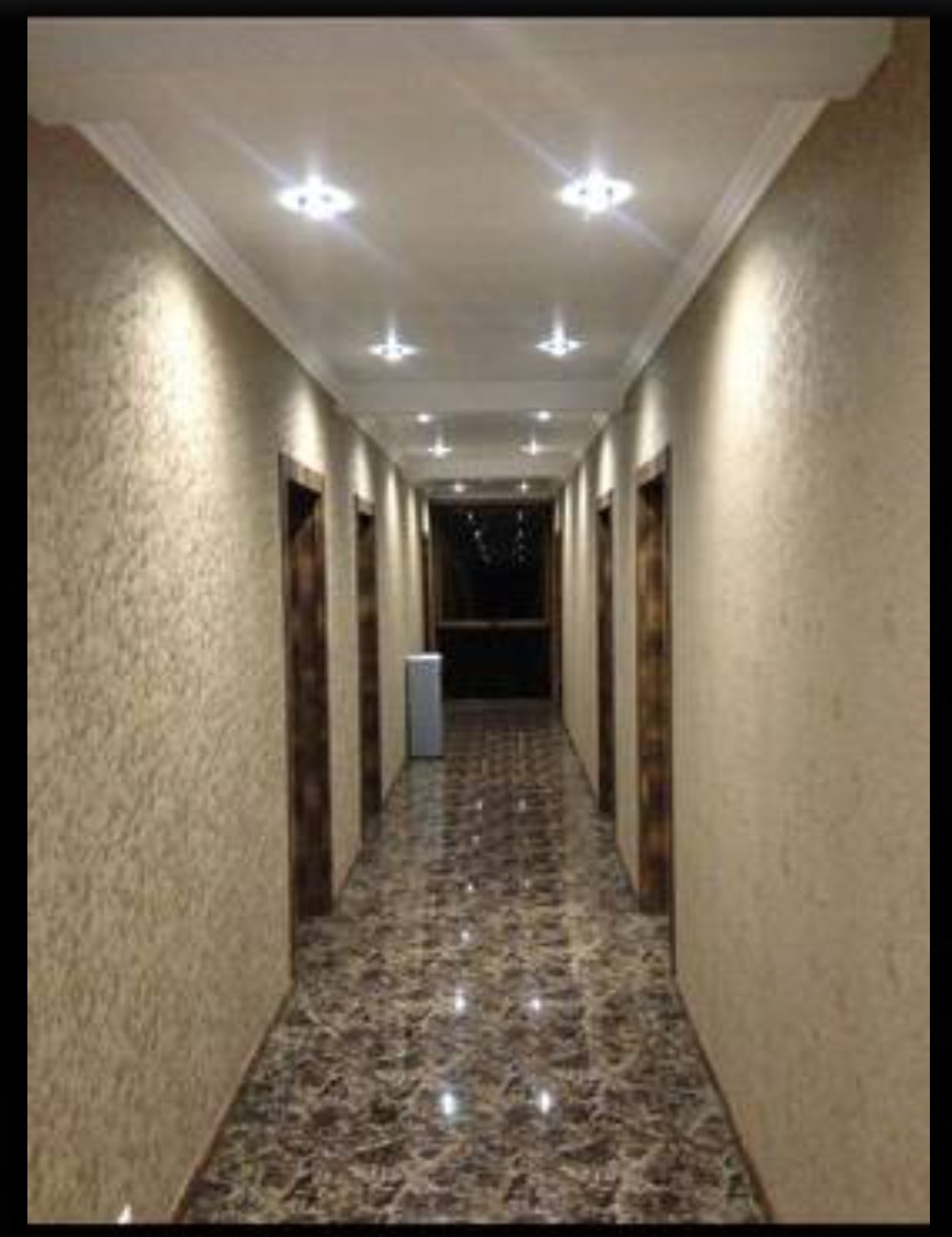 Фото Пальма