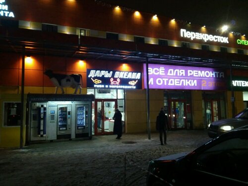 Курьерские услуги DHL Express Easy, Москва, фото