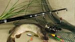 SnastiKirov (ulitsa Kobozeva, 1А), fishing gear and supplies