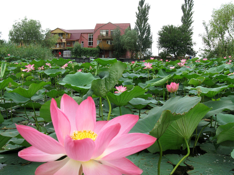 Фото отеля 1