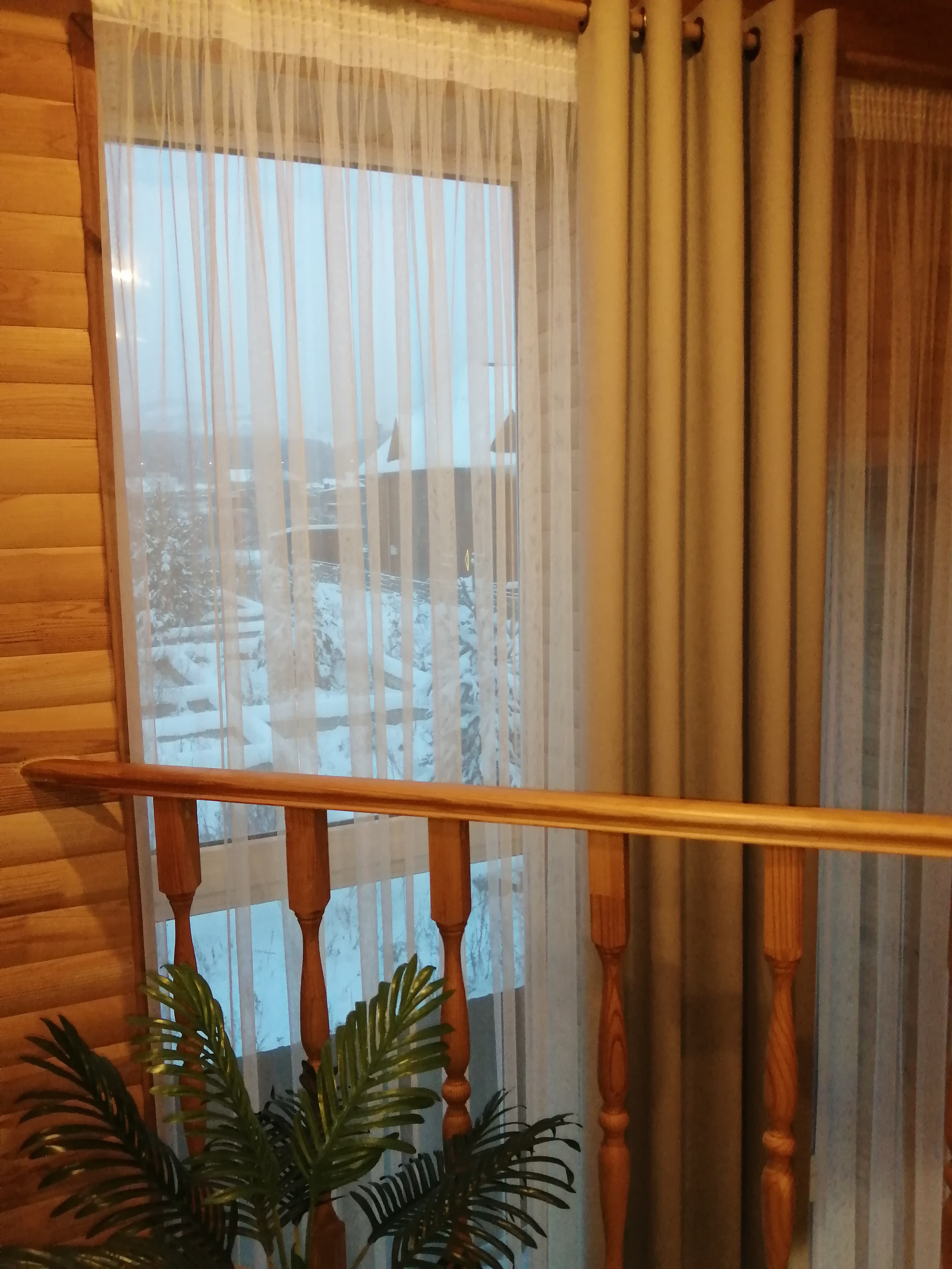 Фото Дарина