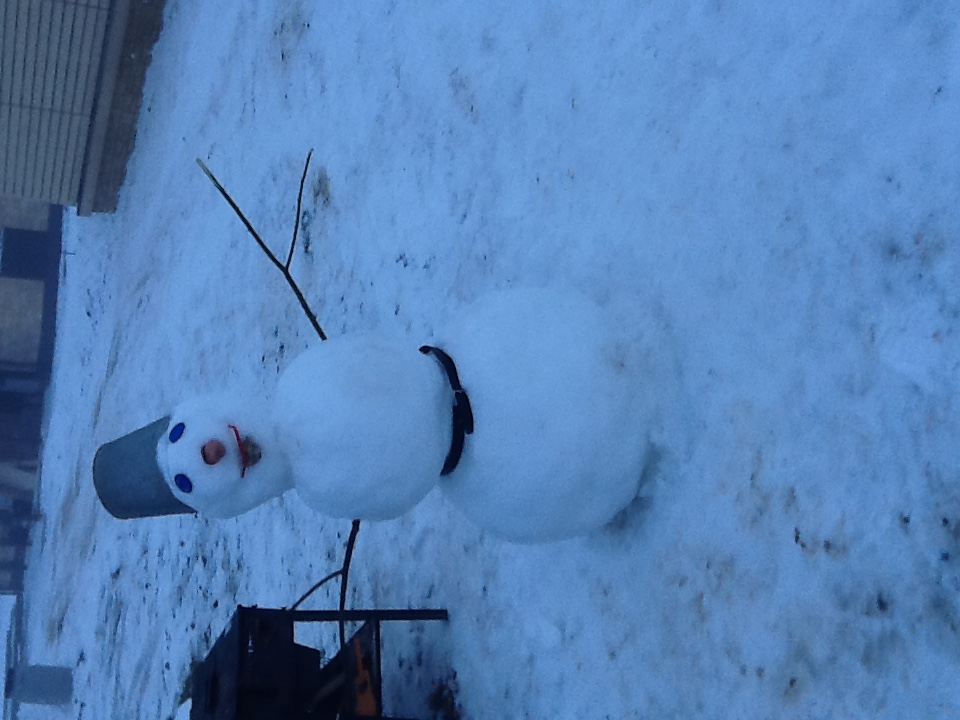 Фото Времена года