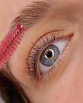 Sun Lashes (Mitinskaya Street, 42) ، شريط حاجب العين
