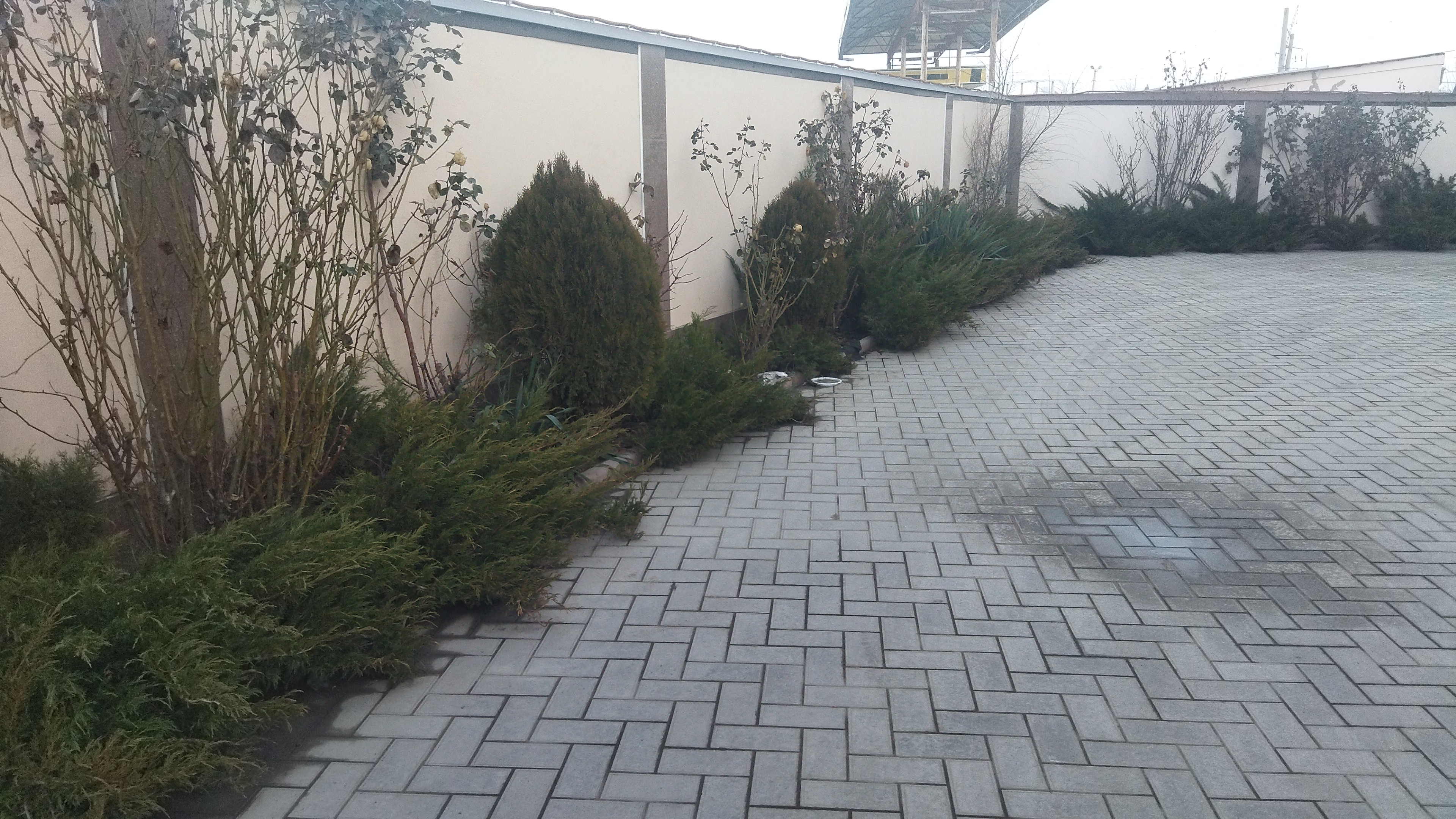 Фото Дарьял