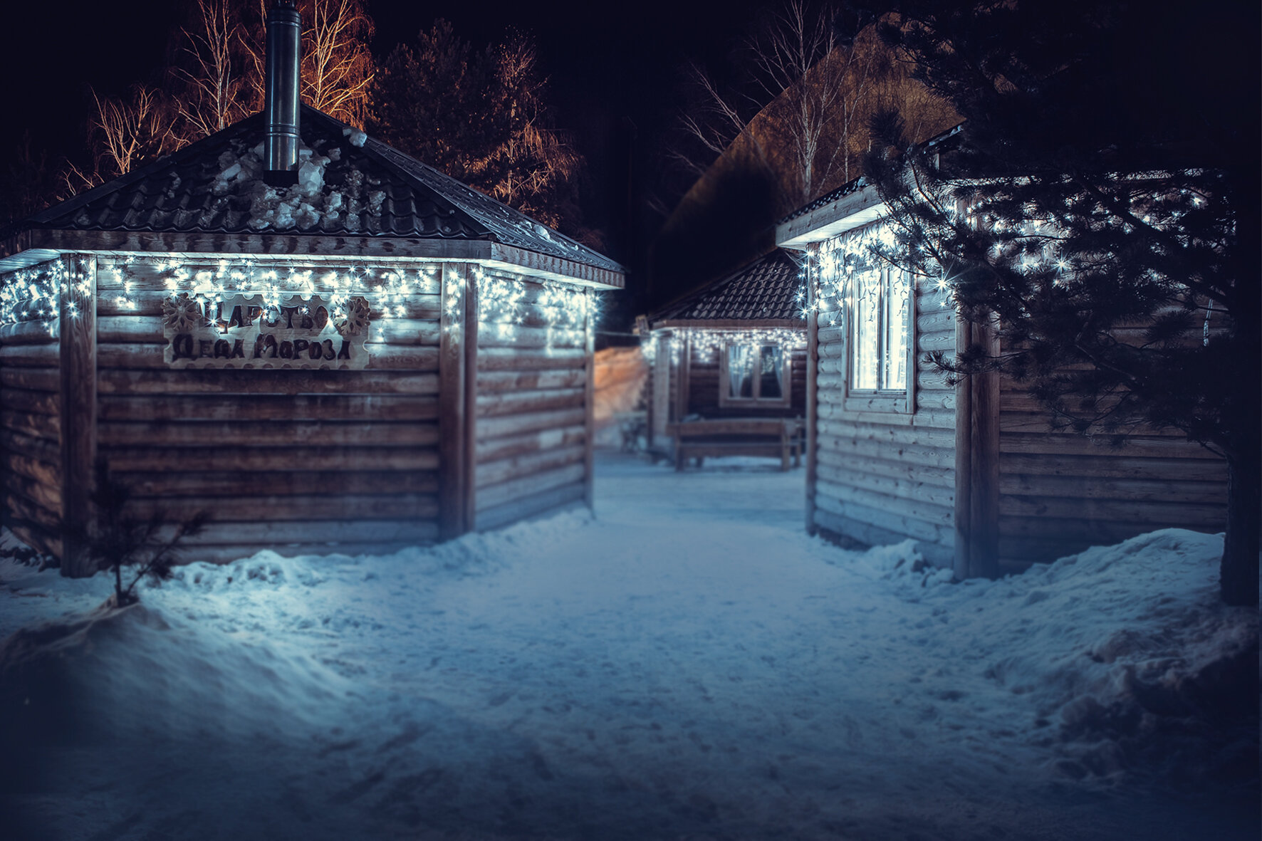 Фото Адмирал