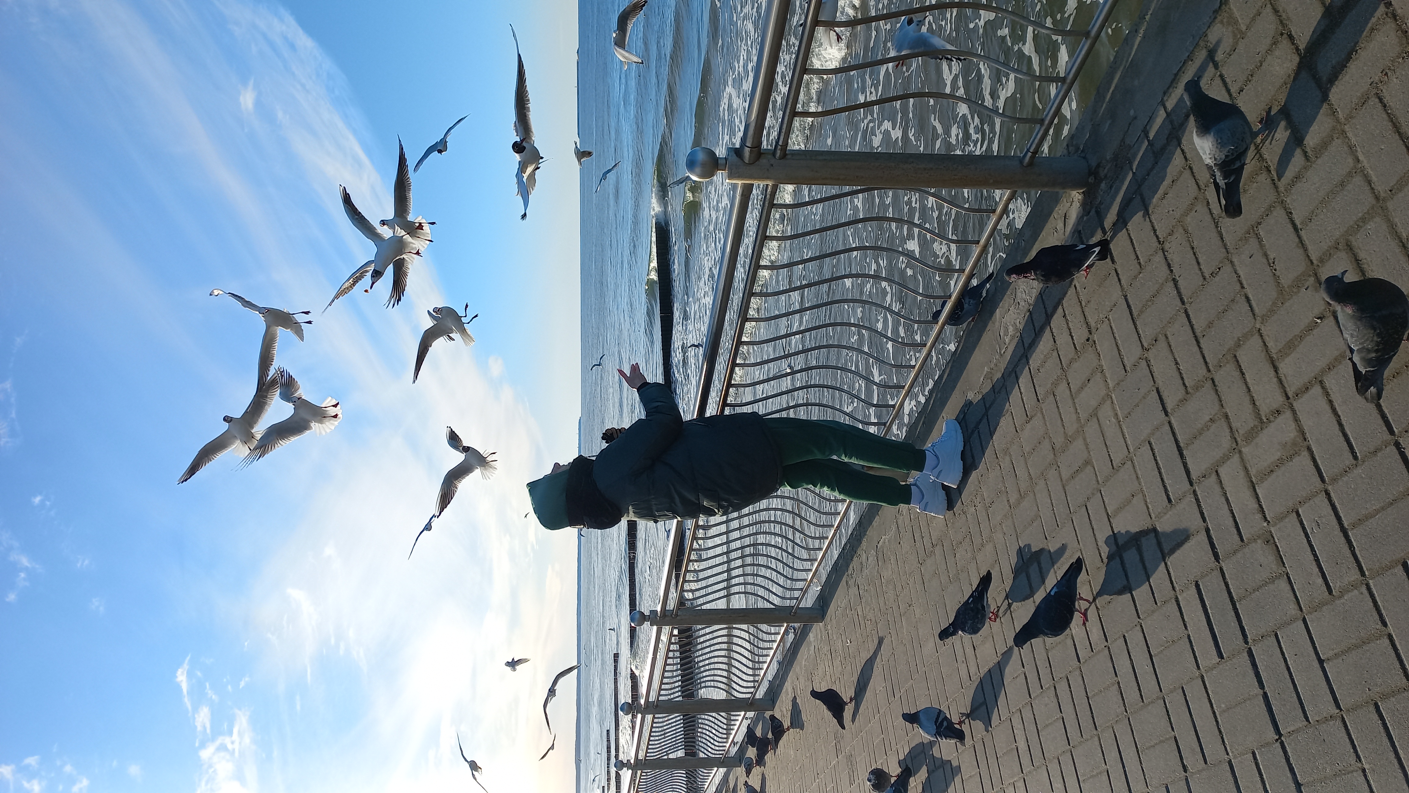 Фото Элиза ИНН