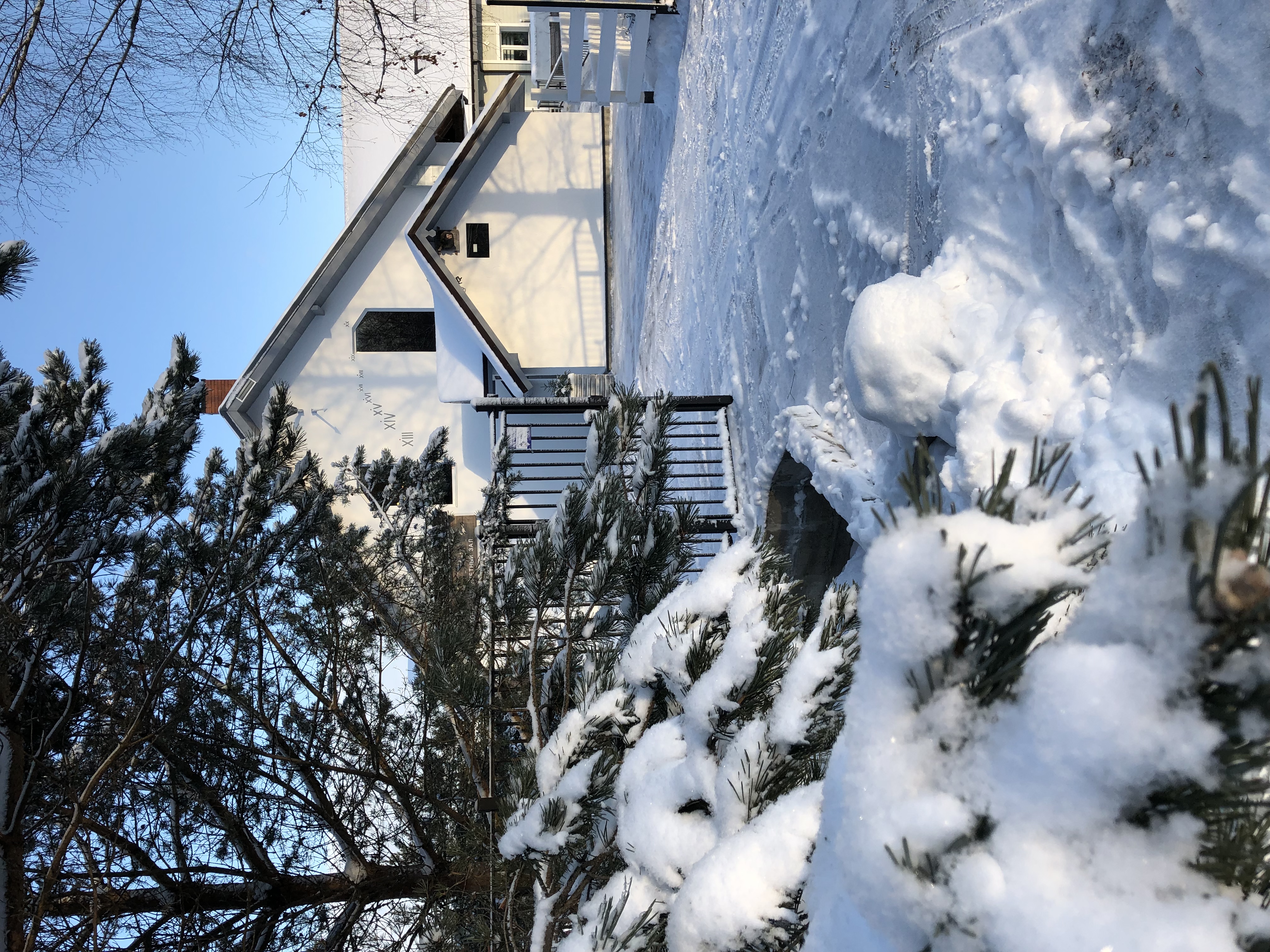 Фото Лосьпробежал