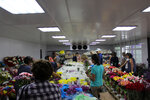 Цвет-База.рф (Черноморская ул., 18), магазин цветов в Стерлитамаке