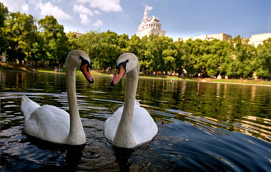 Фото Резиденция Булгакова