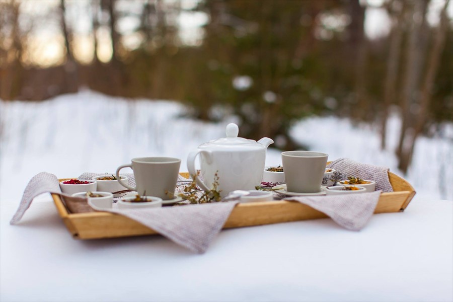 Фото Никола-Ленивец