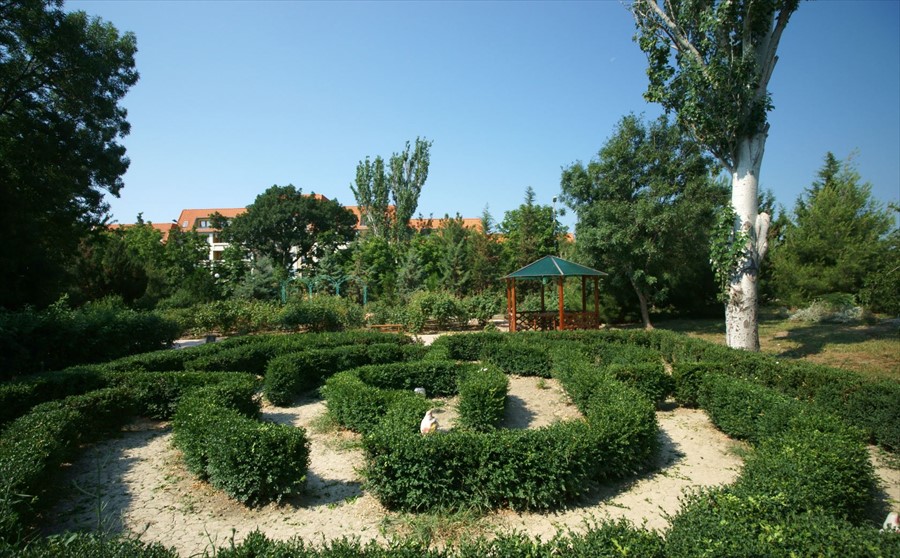 Фото Приморье