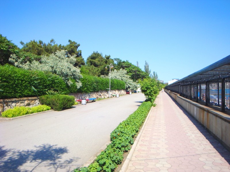 Фото Парадиз