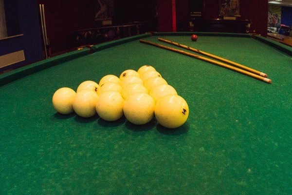 Фото Алая роза