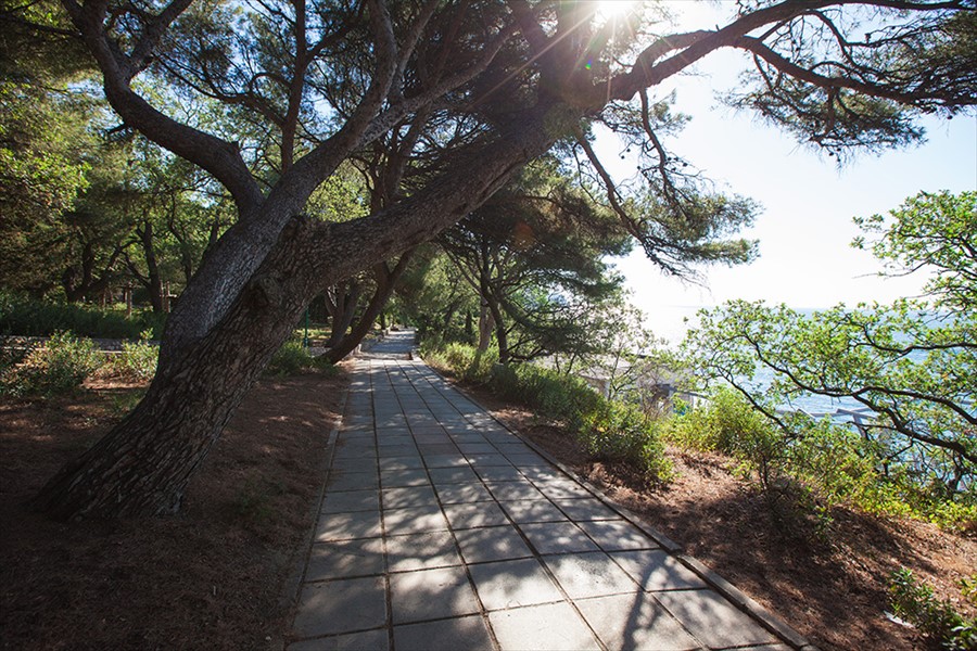 Фото Парк Авеню