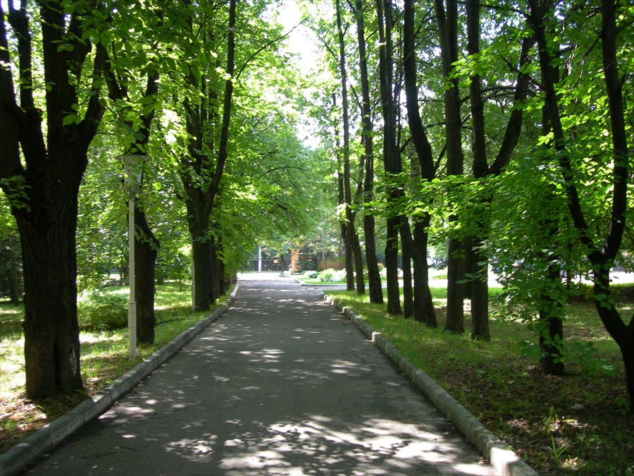 Фото Шереметьевский